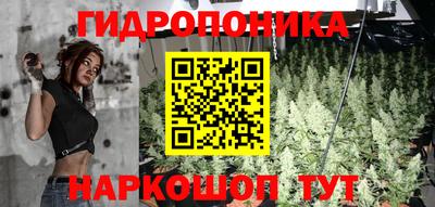 соль ск Лесосибирск