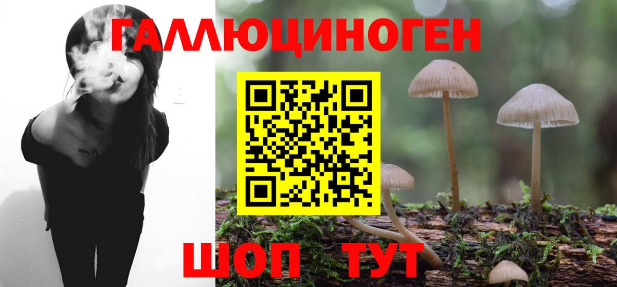 Галлюциногенные грибы Cubensis Заволжье
